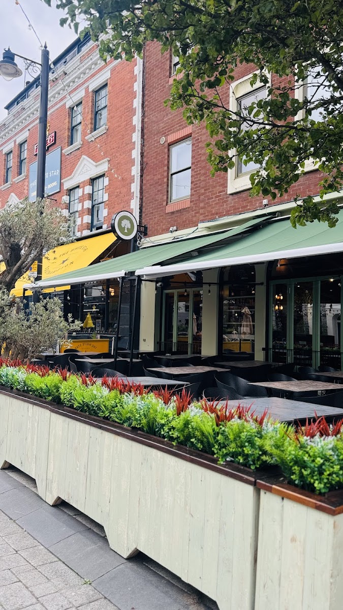 The Olive Tree Ocean Village